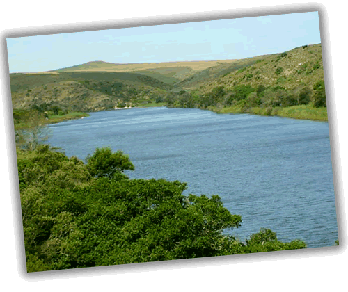View of river 