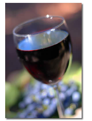 Wine route